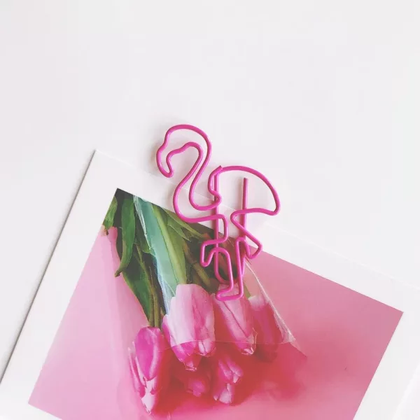Image paper Clip Flamingo