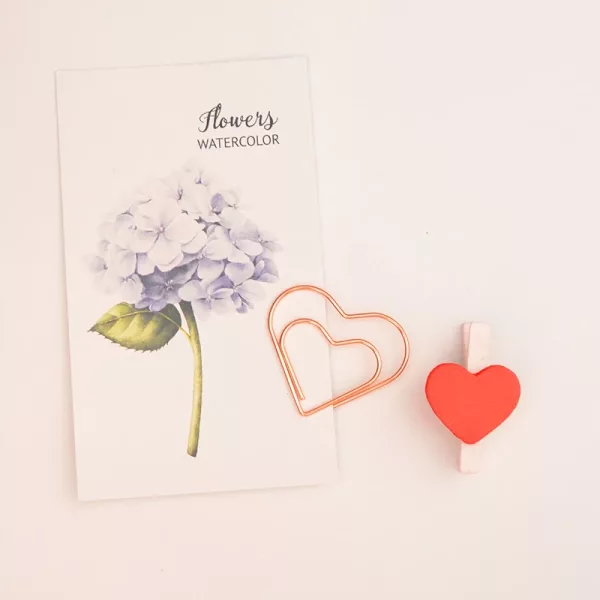 Image paper Clip Rose-Gold-Ananas-Coeur-Enveloppe