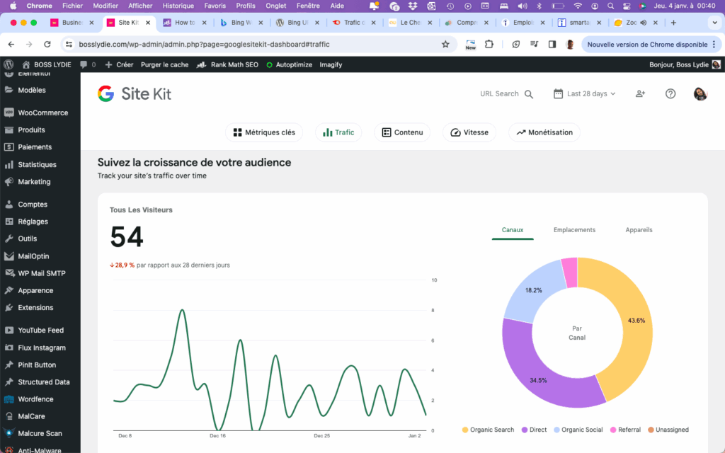 Built in Public N° 1 <br>Relancer son Business après une Pause 4 Built in Public Site Kit Metrics Janv 2024