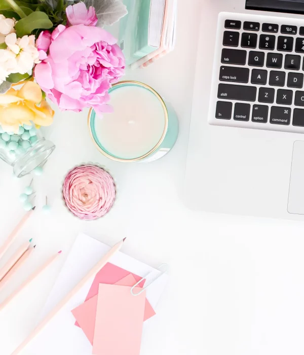 Vignette Template Wordpress sans Stress 3