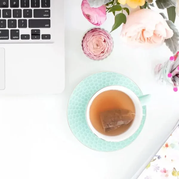 Vignette Template WordPress sans Stress 5